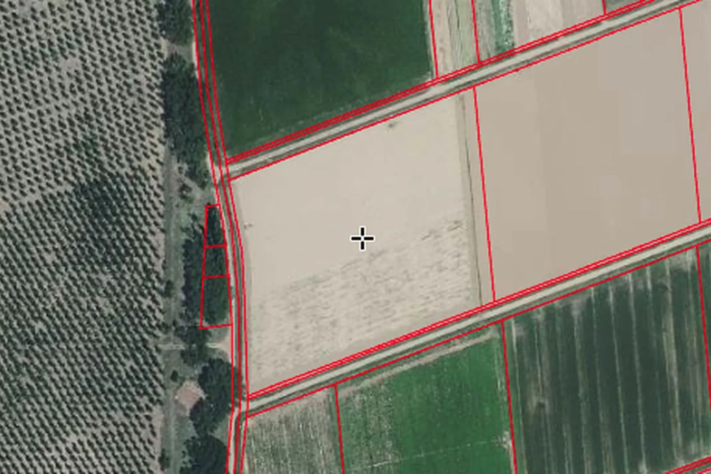Ortofoto de la finca con las parcelas delimitadas, antes de decidir nada