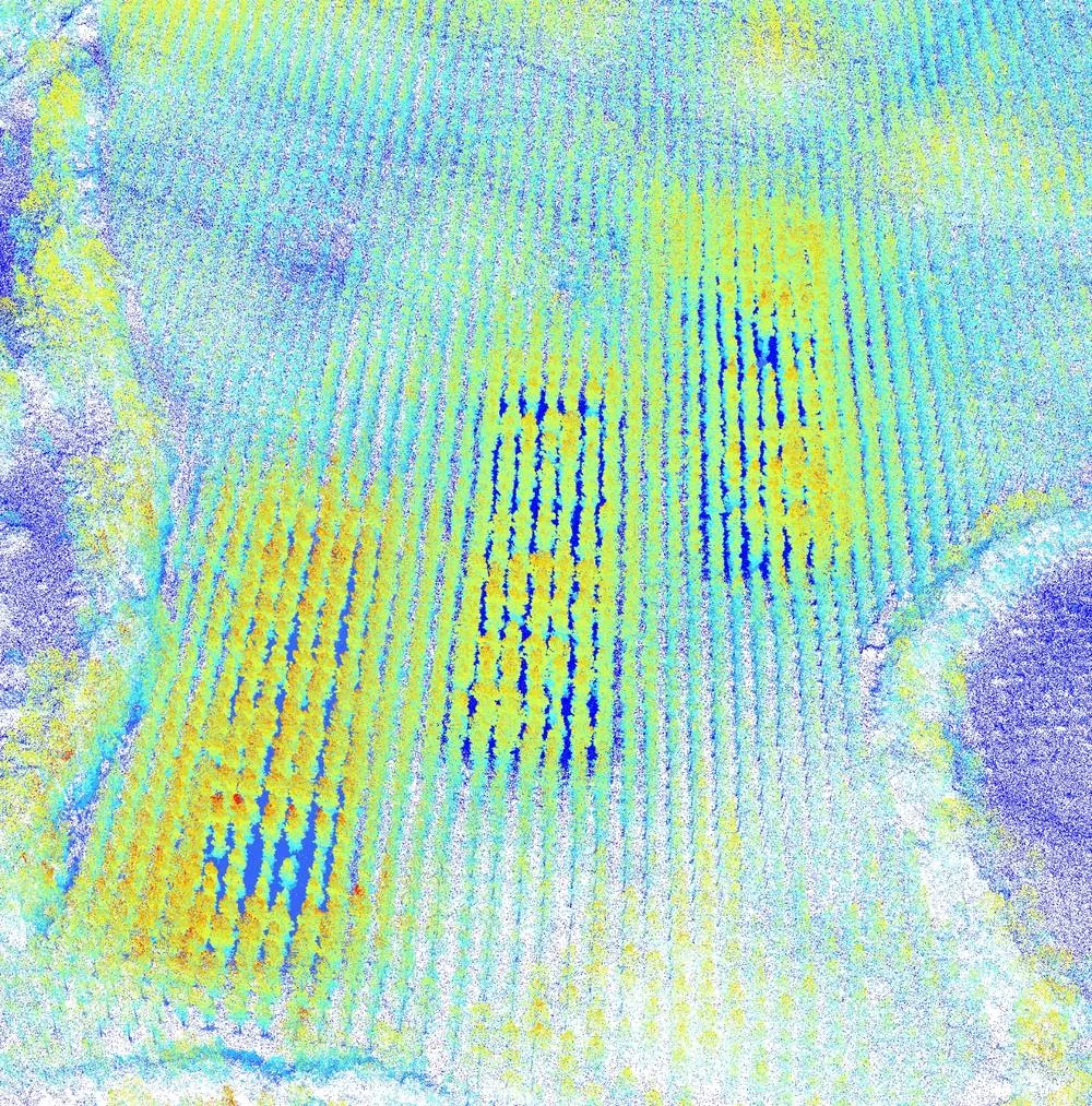 Una parcela de ensayo vista desde el aire, con los tres bloques del ensayo diferenciados por color