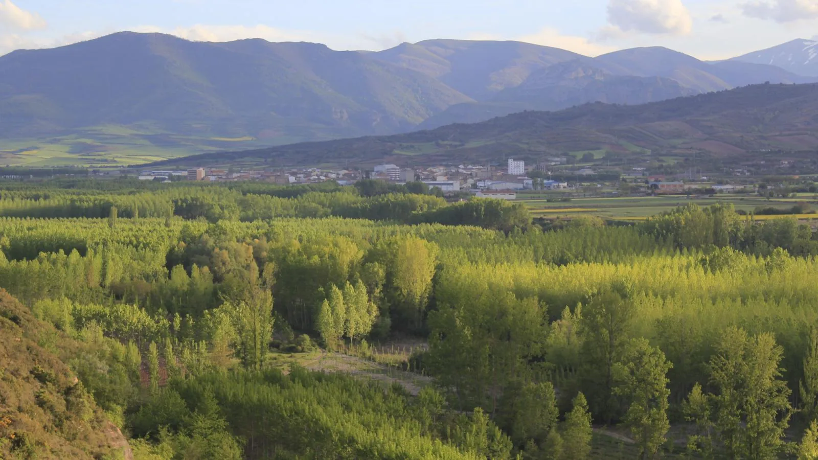 El valle con las choperas de Bosques y Ríos y el pueblo al fondo